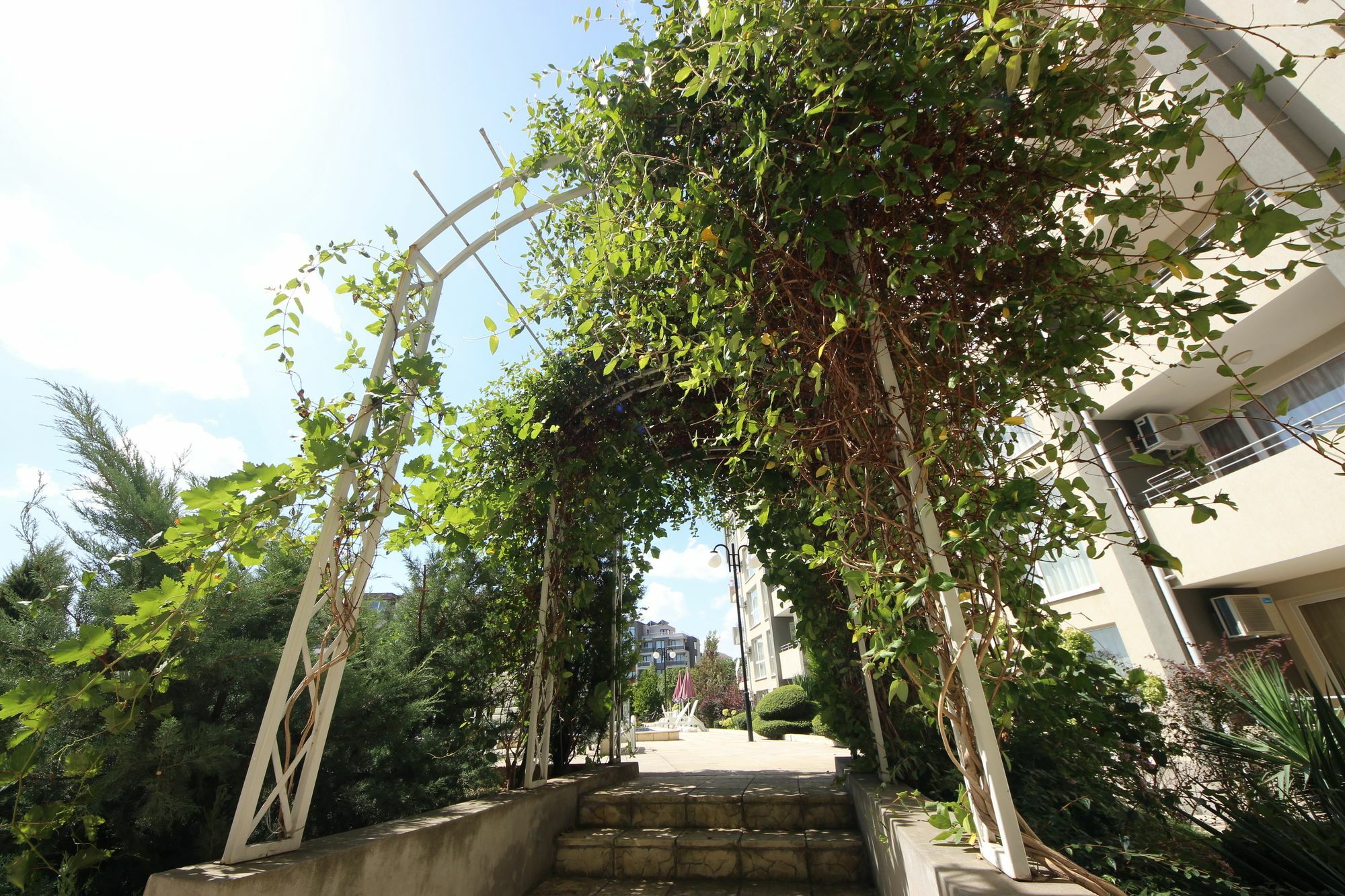 Menada Butterfly Apartment Sveti Vlas Exterior foto
